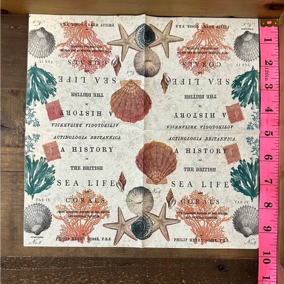 Coastal Nautical Seashell Sea Turtle Paper Napkins - Picture 3 of 6